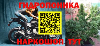 прущие грибы Керчь