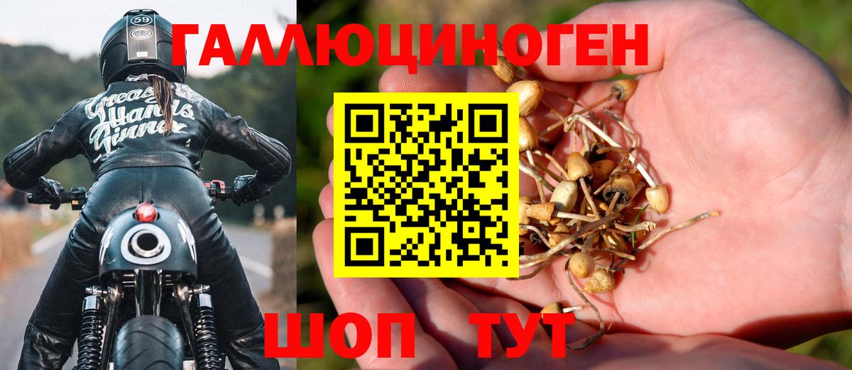 Псилоцибиновые грибы прущие грибы Джанкой