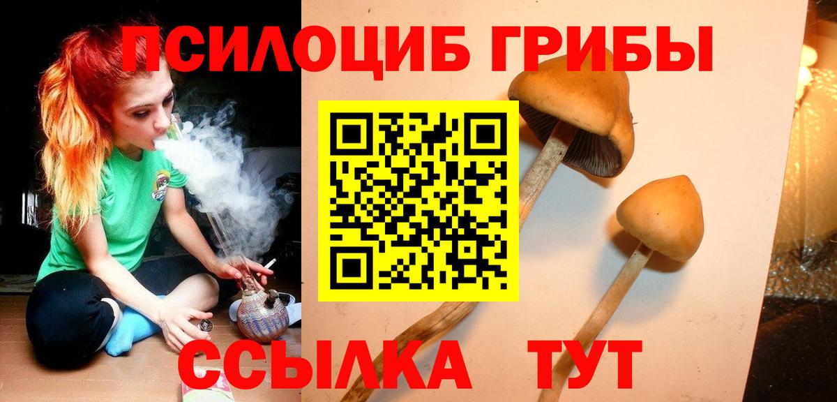 Джанкой  Псилоцибиновые грибы Psilocybe  Вход с VPN  Псилоцибиновые грибы ЛСД 