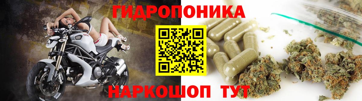 Марихуана Bruce Banner  Вход с VPN  Конопля OG Kush  Джанкой  Канабис конопля 